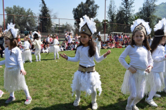 DSC_0382-1024x683