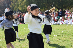 DSC_0386-1024x683