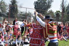 DSC_0432-1024x683