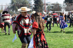 DSC_0443-1024x683
