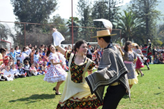 DSC_0446-1024x683