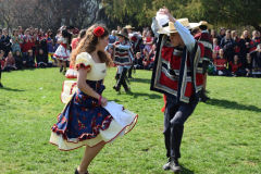 DSC_0449-1024x683