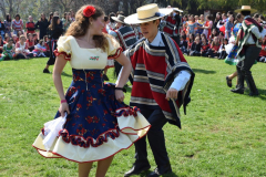 DSC_0450-1024x683