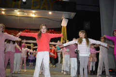 DSC_0539-1024x683