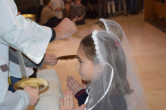 DSC_0253-1024x683