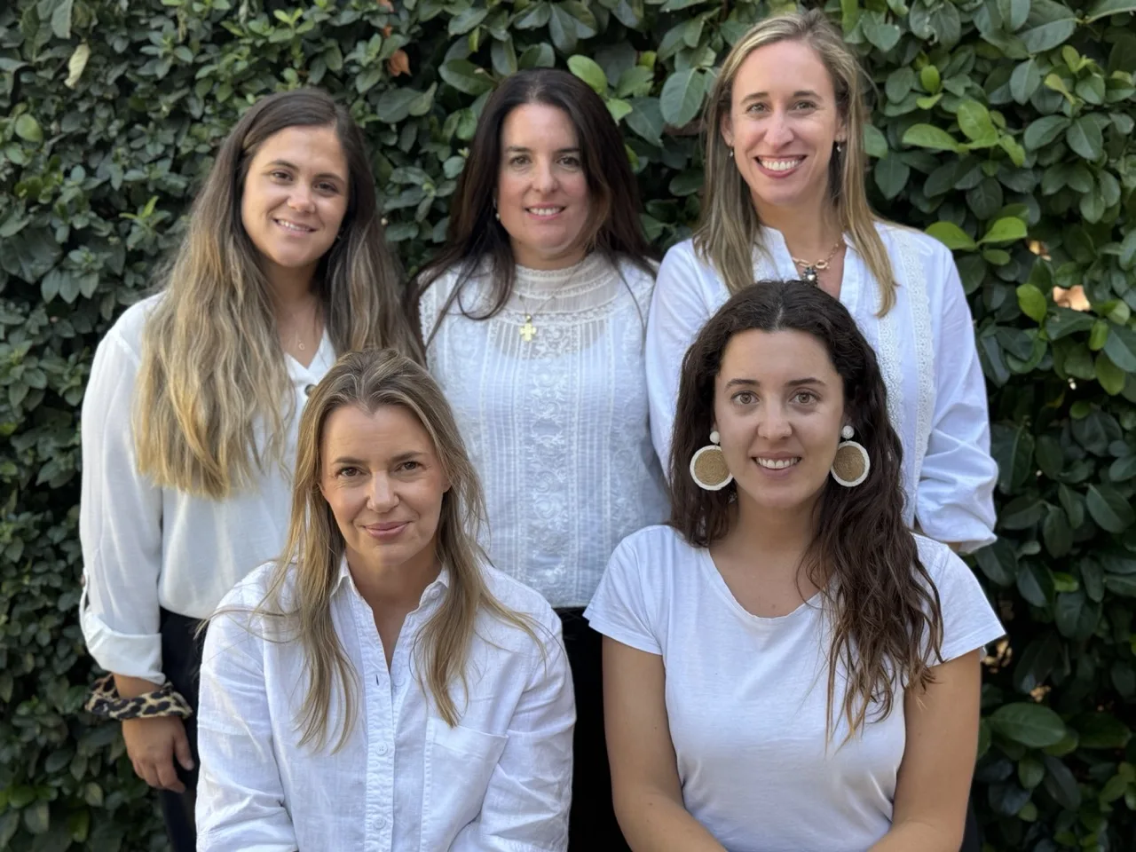 Organización del Colegio