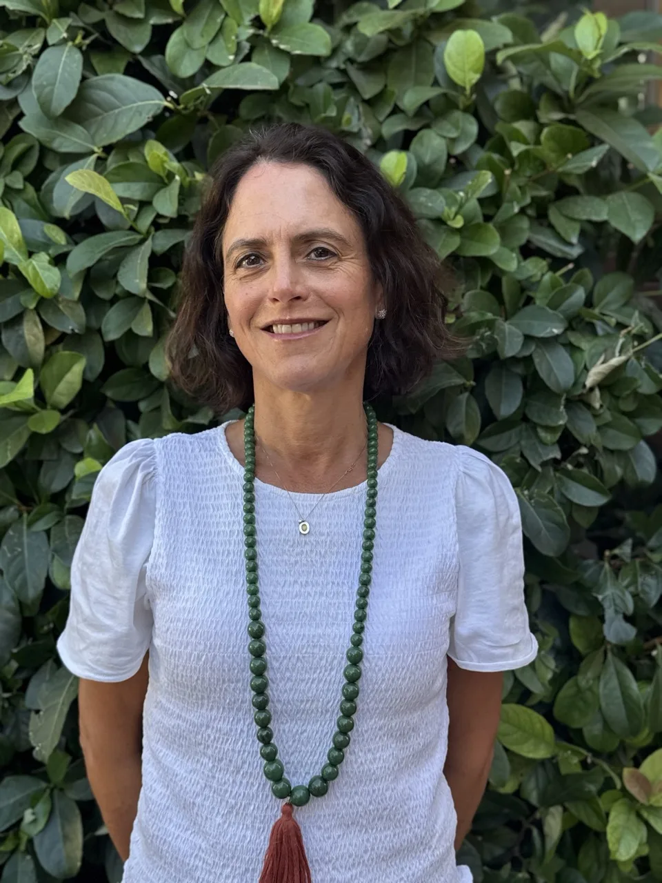 Organización del Colegio