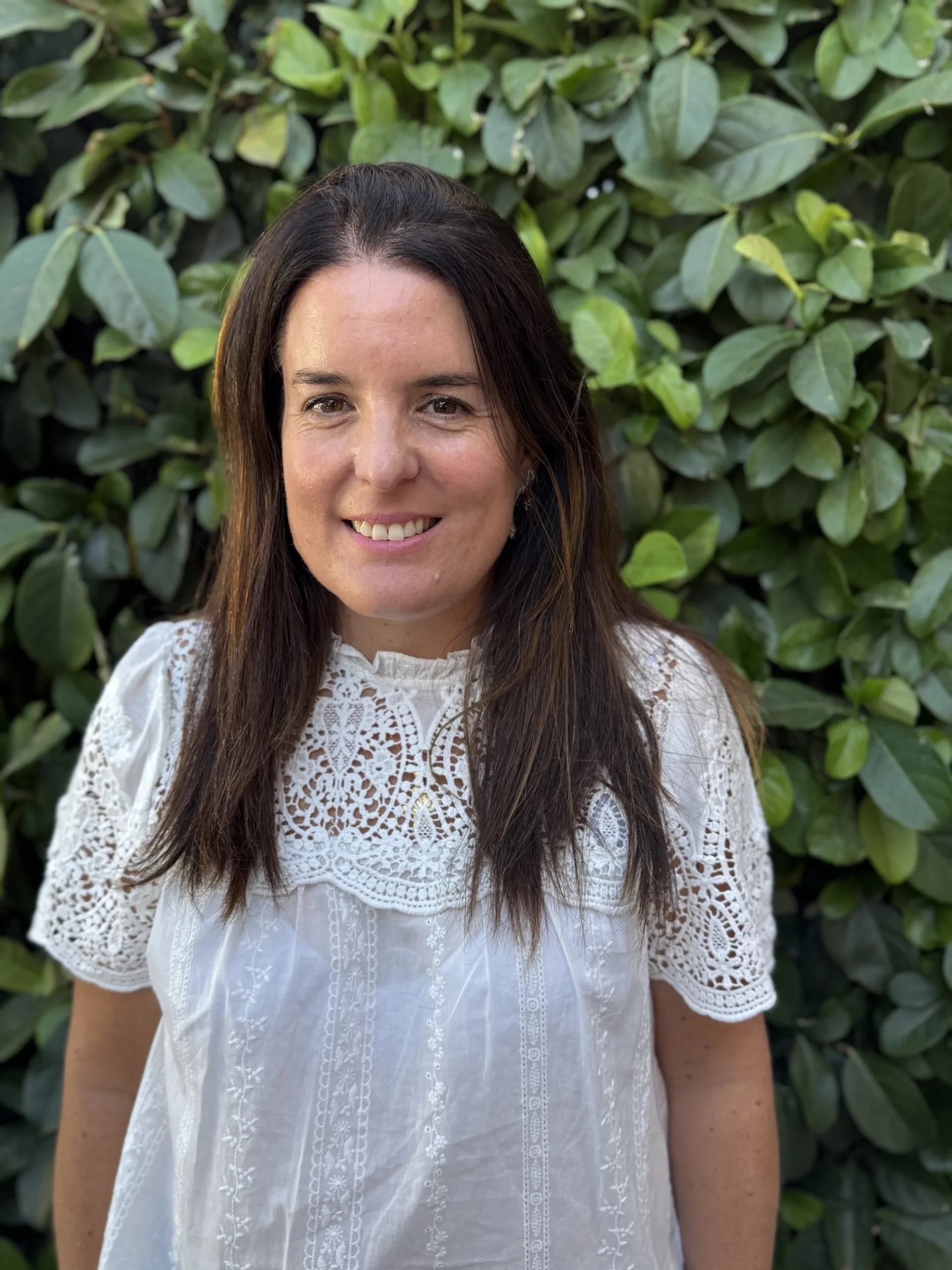 Organización del Colegio