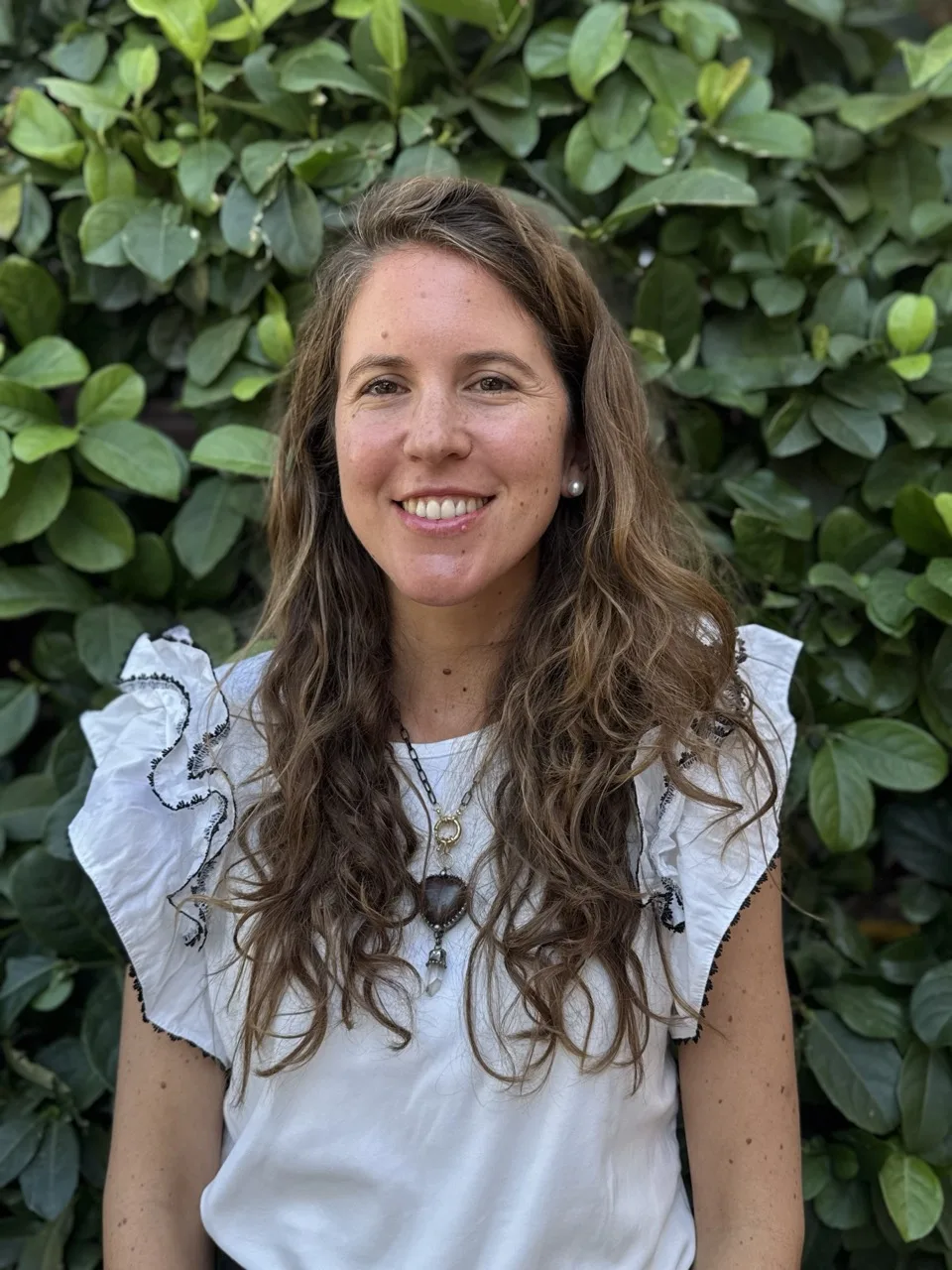 Organización del Colegio