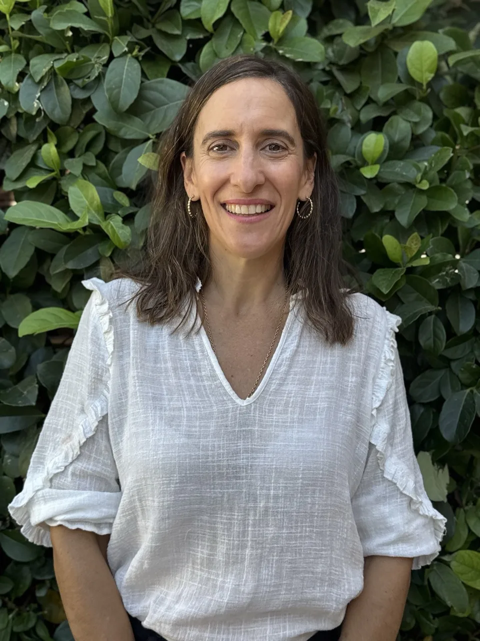 Organización del Colegio