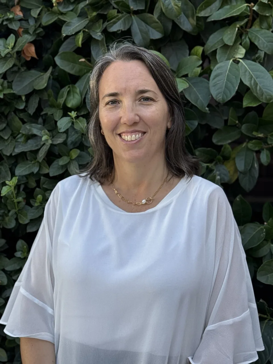 Organización del Colegio