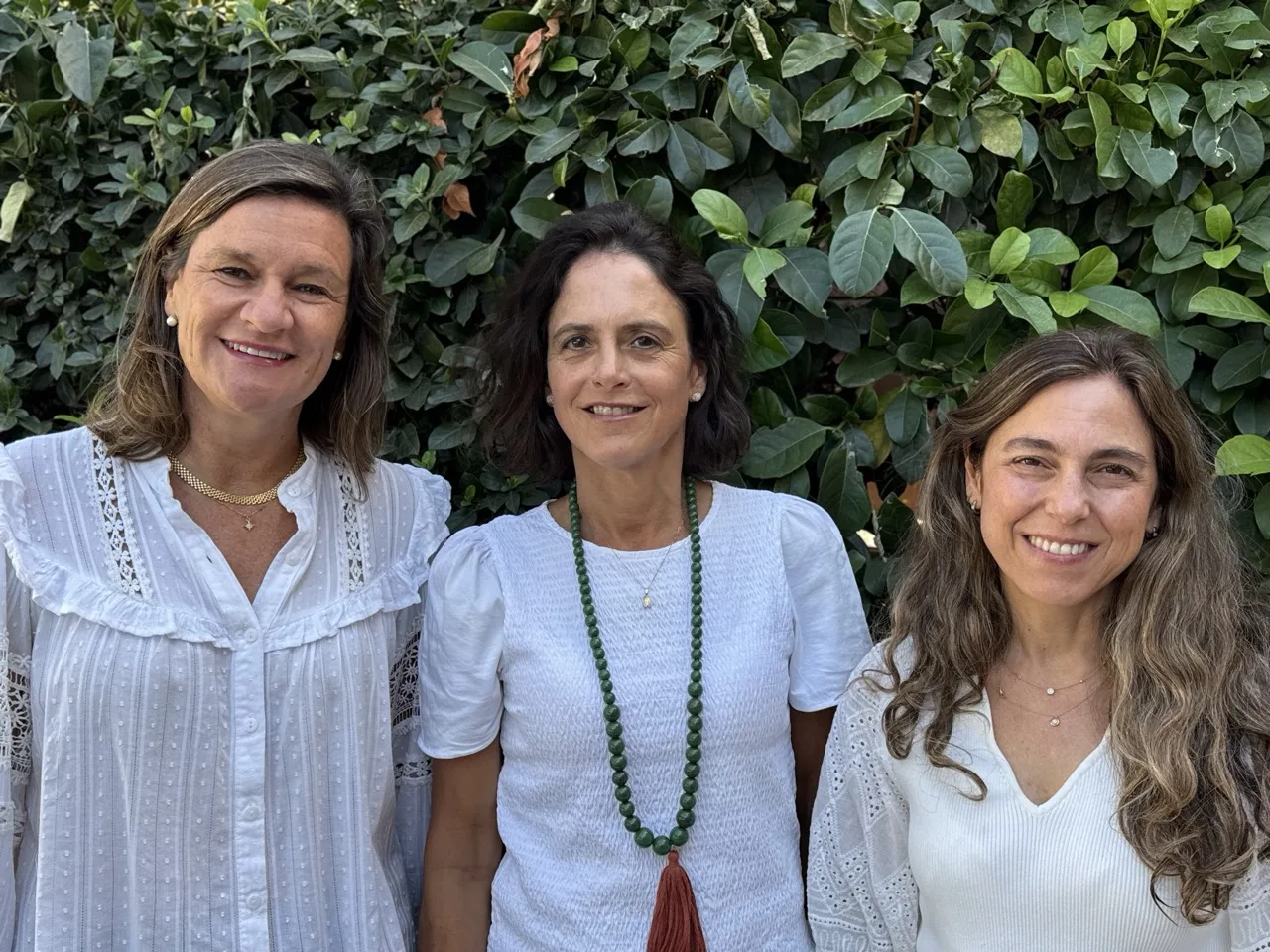 Organización del Colegio