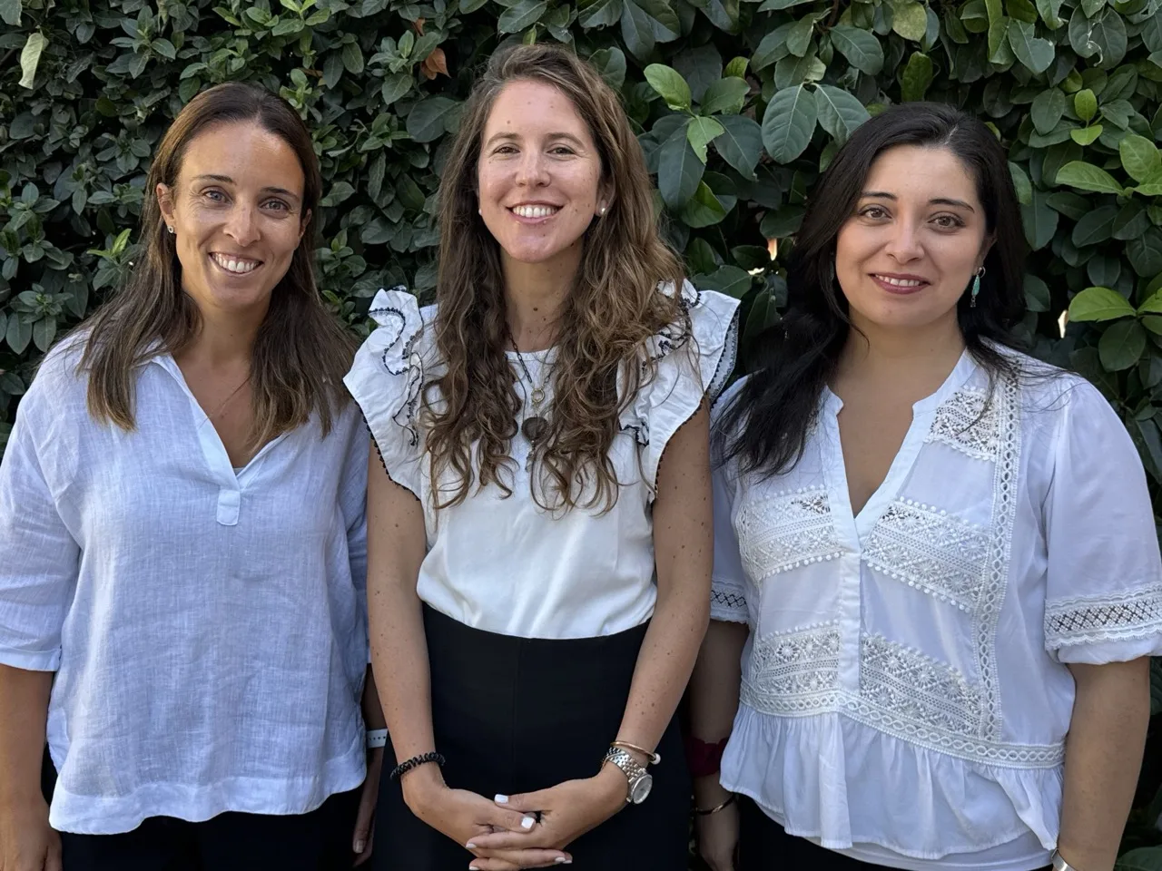 Organización del Colegio